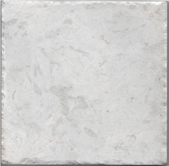 Gohare / Gohara Limestone Fossil Tiles