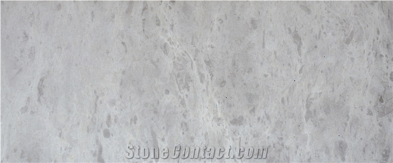 Gohare / Gohara Limestone Fossil Tiles