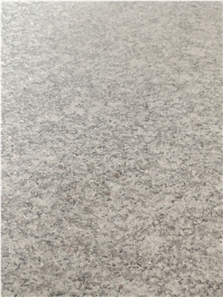 Counter Barry White Sardo Grey Granite Slabs G623