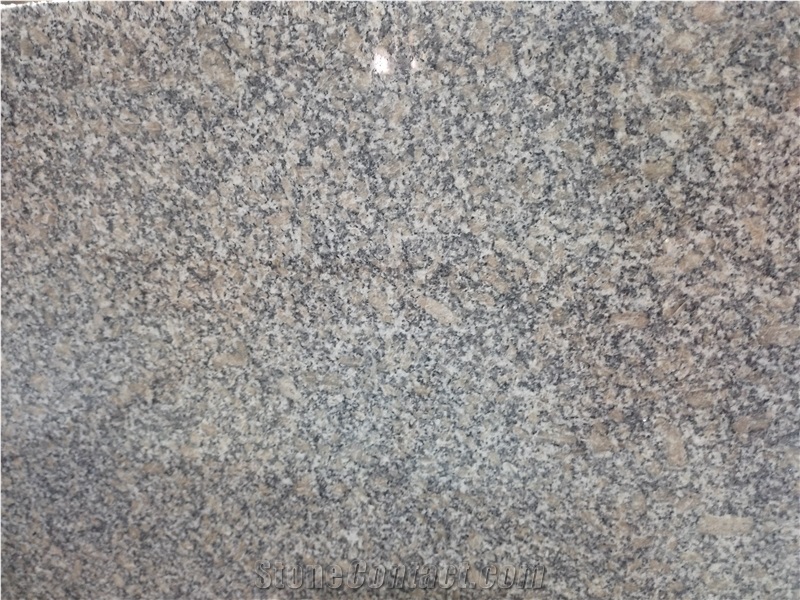 G602 Nanan Sesame Grey Polished China Granite Slabs