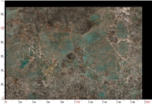 Amazon Green Quartzite Slab