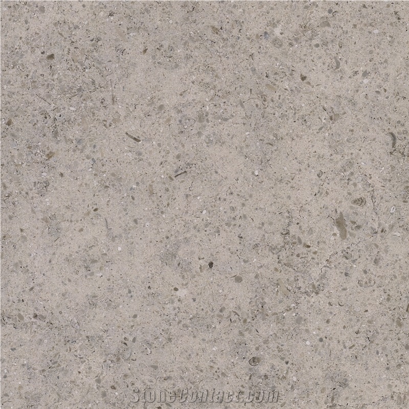 Gris Liso Limestone importance=