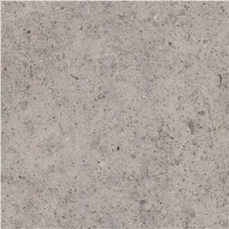 Gris Liso Limestone