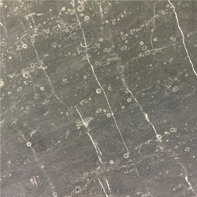 Lily Gray Marble importance=