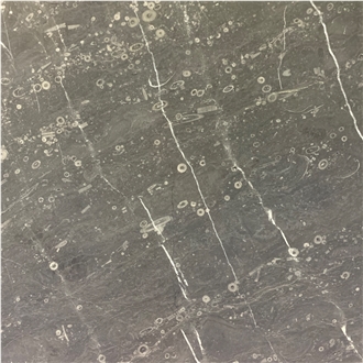 Lily Gray Marble