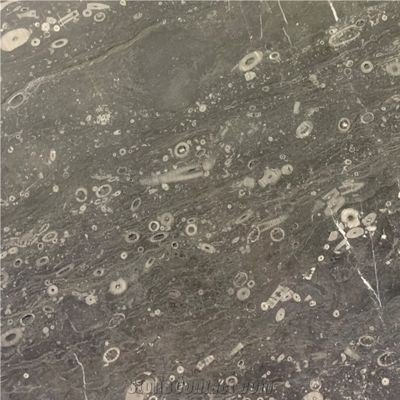 Lily Gray Marble Tile