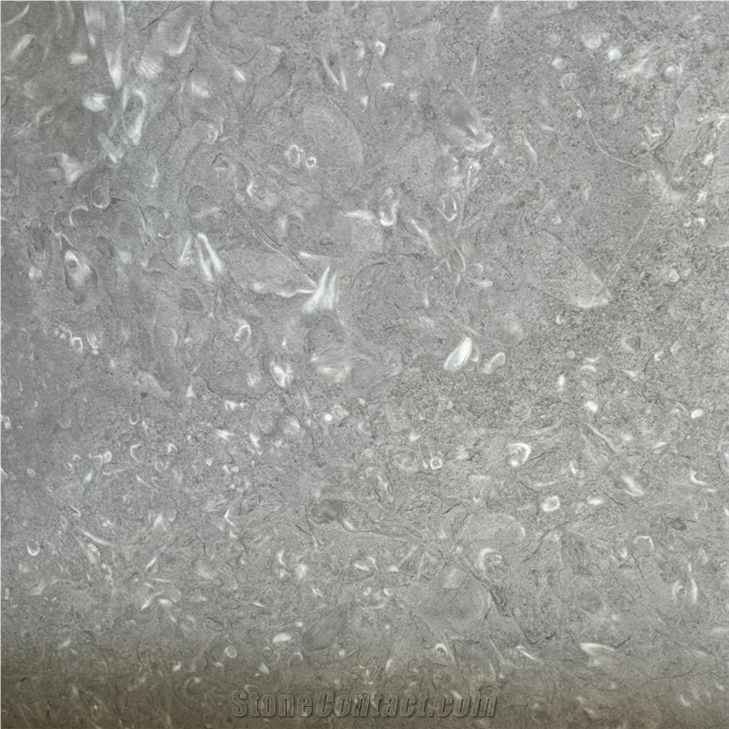 Moonlight Gray Marble importance=