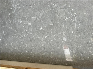 Moonlight Gray Marble Slab