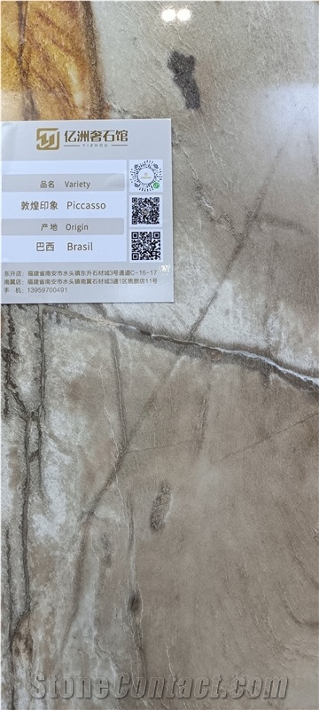 Picasso Quartzite Slab