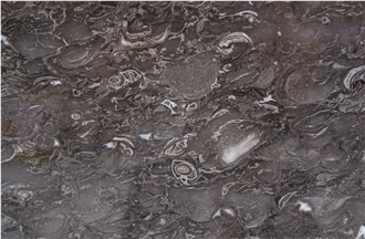 Grey Khenifra Marble Slabs 2 Cm