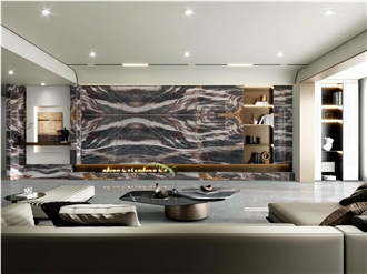Paramount Quartzite Slabs Feature Wall For Home Renovation