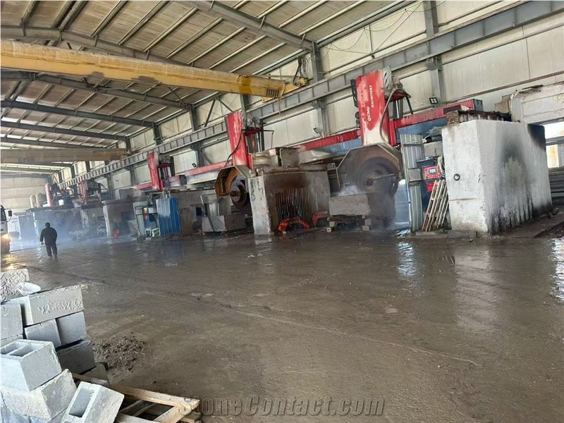 Giant Disc Block Cutting Machine, Multi Blade Block Cutting Machine