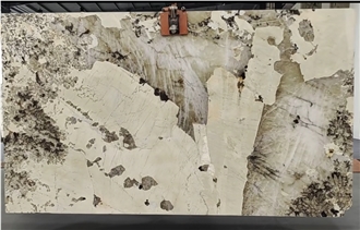 Beige Patagonia Quartzite Slabs