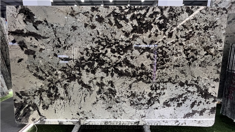 DMD Showroom Tourmaline White Granite Slabs  Collections