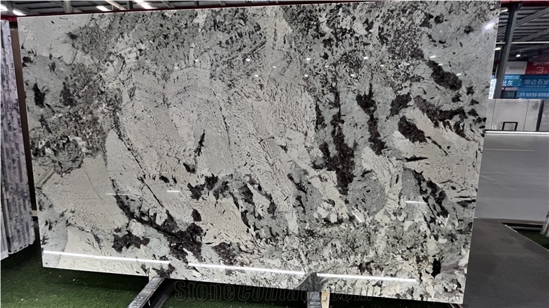 DMD Showroom Tourmaline White Granite Slabs  Collections