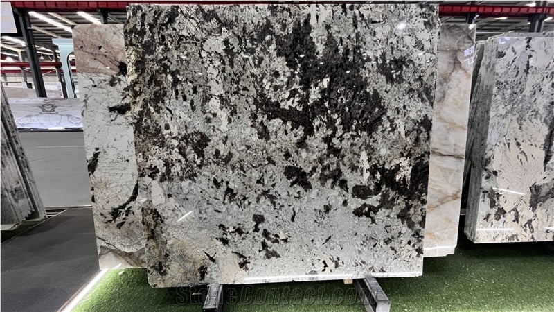 DMD Showroom Tourmaline White Granite Slabs  Collections