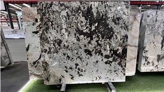 DMD Showroom Tourmaline White Granite Slabs  Collections