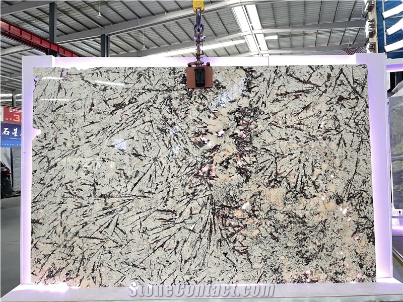 Good Price  Luxury White Persa Granite Slabs Light  Through