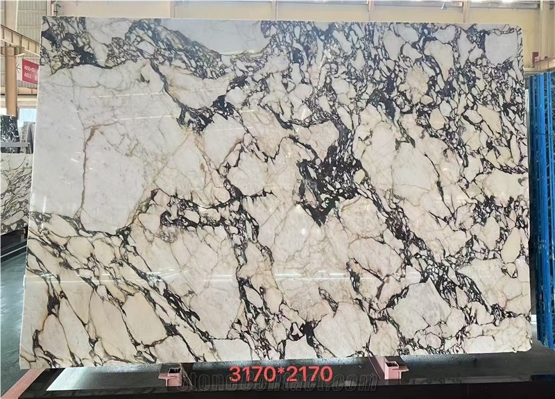 Italy Luxry Background  Calacatta Viola Bvlgari Purple Tiles