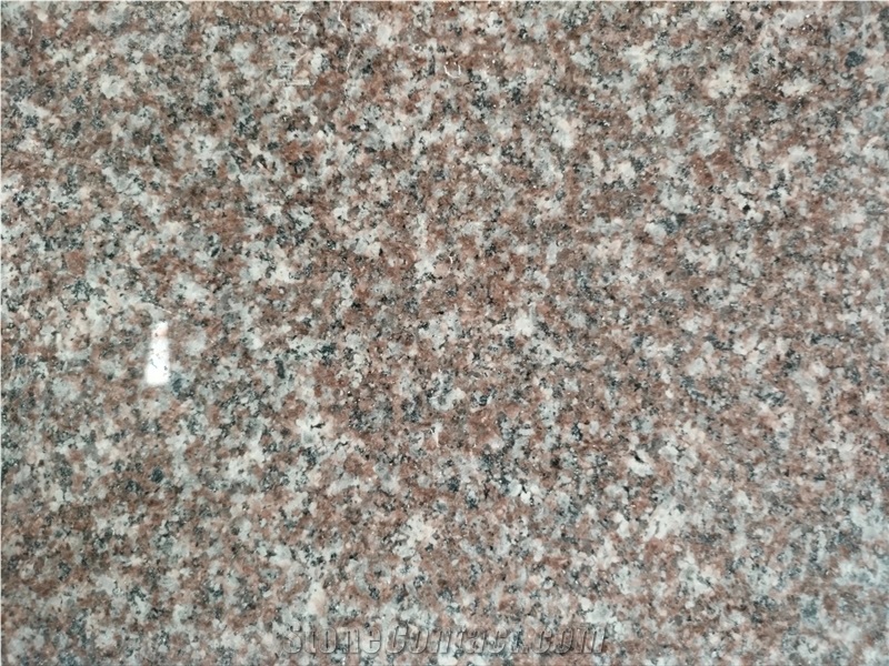 Loyuan Red G664 Granite Floor Tile