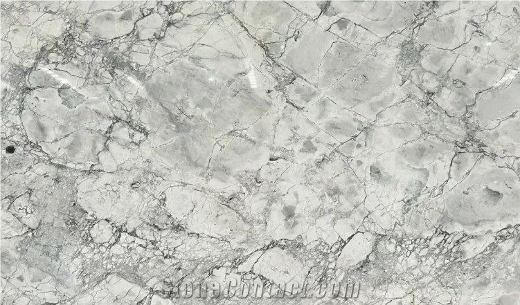 Super White Quartzite Nature Slab Tiles For Floor