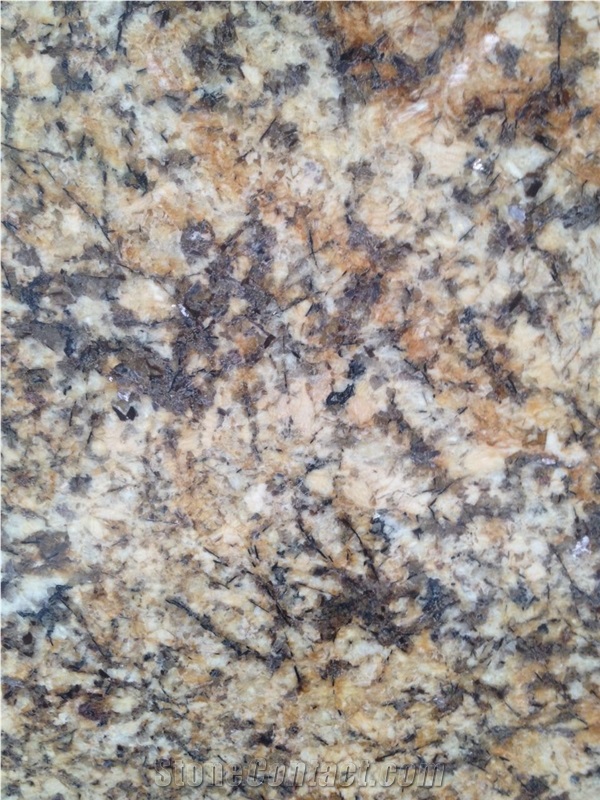 Polished Granito Giallo Palmeiras Slabs