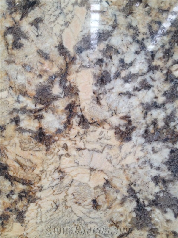 Polished Granito Giallo Palmeiras Slabs