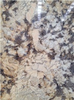 Polished Granito Giallo Palmeiras Slabs