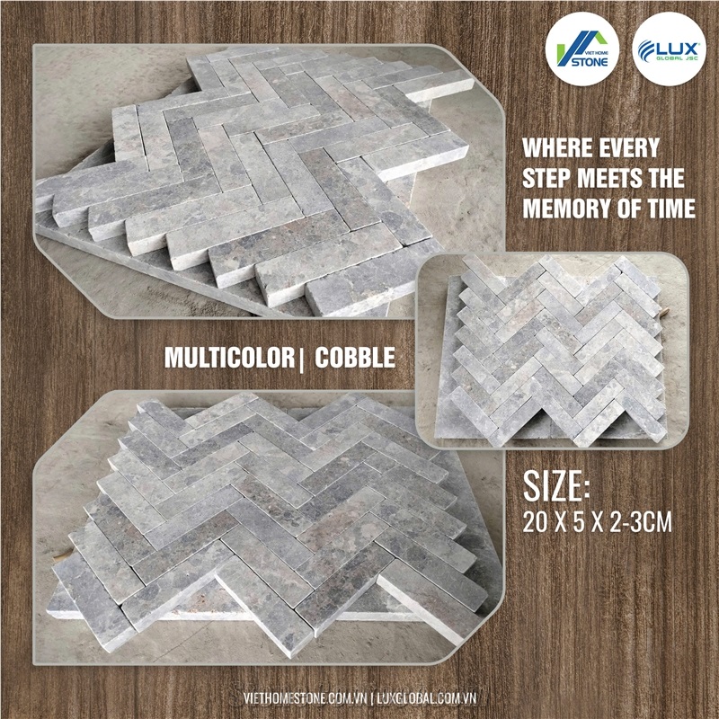 Multiolor Paving