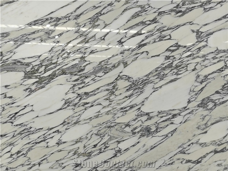Arabescato Venato White Marble Slabs For Home Decoration
