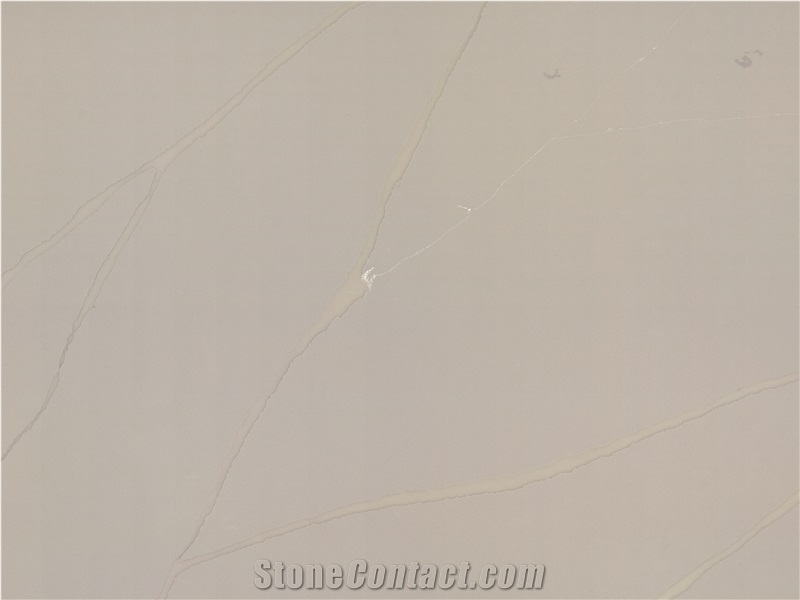 Quartz Floor For Public Facilities, Kitchen Countertop