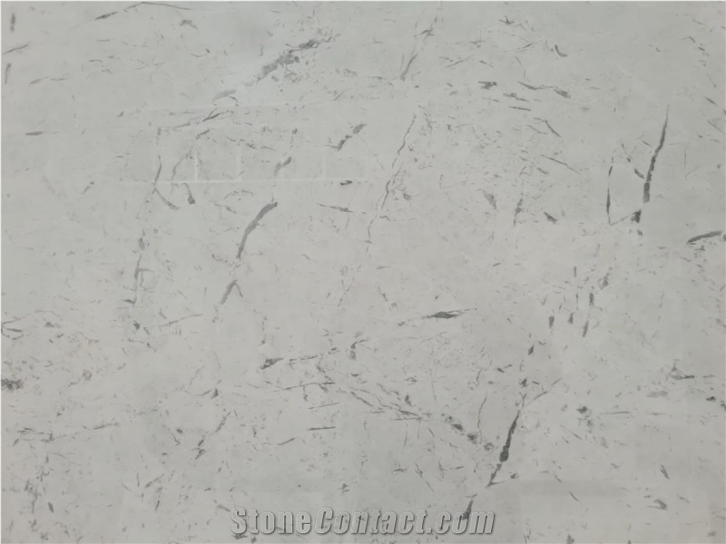 Alpine White Dolomite Marble Slabs