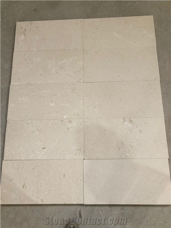 Myra Limestone Less Fossil Tiles