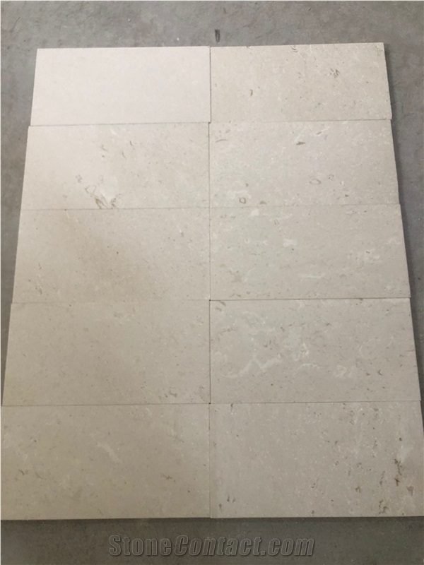 Myra Limestone Less Fossil Tiles