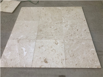 Shell Limestone Tiles Shell Limestone Tiles