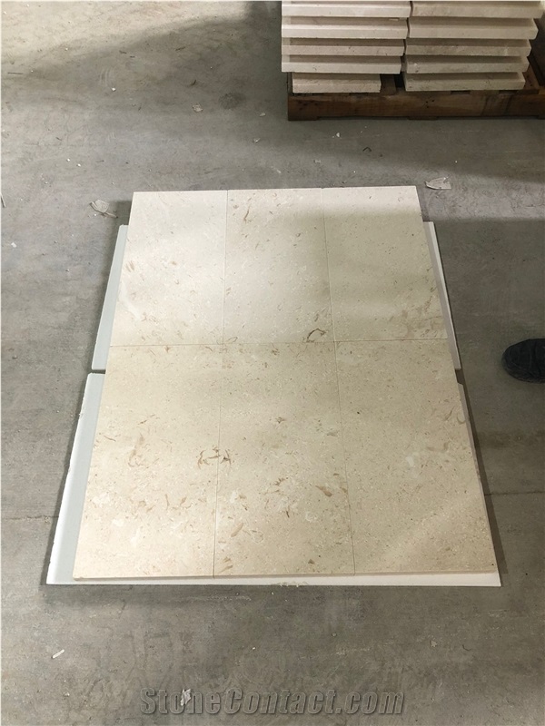 Shell Limestone Tiles
