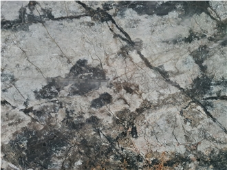 Silver Roots  Marble Slabs