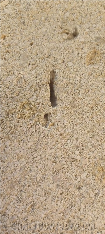 French Bordeaux Limestone Slab For Cutting Floor Tiles