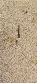 French Bordeaux Limestone Slab For Cutting Floor Tiles
