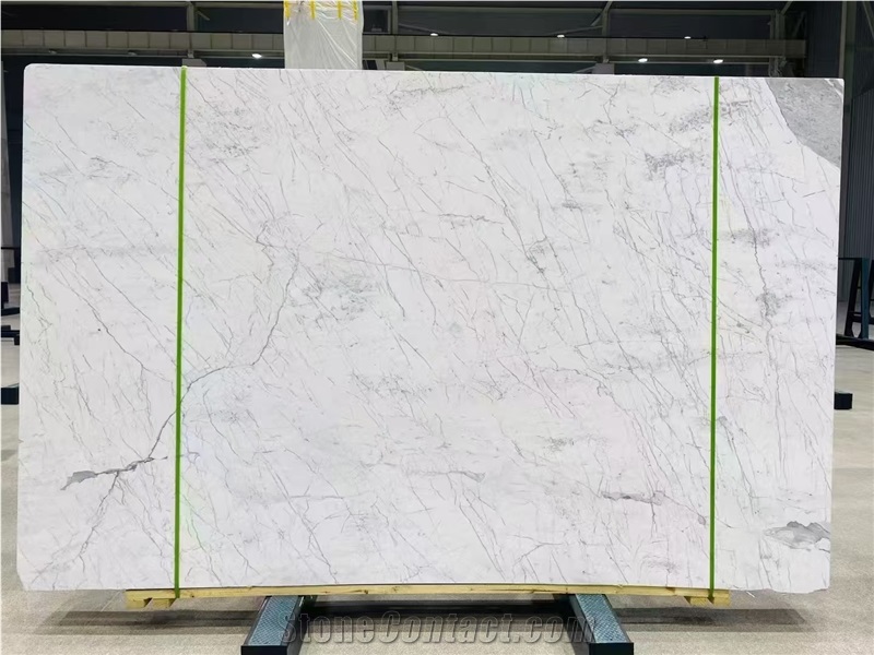 Italy Bianco Statuario Venato Marble Slab For Wall Tiles