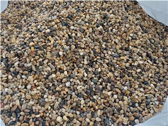 Natural Mix Color Pebble Stone