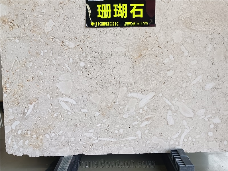 High Quality  Mediterranean Coral Stone Slabs