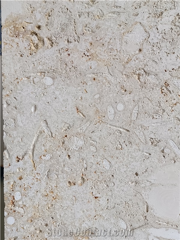 High Quality  Mediterranean Coral Stone Slabs