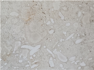 High Quality  Mediterranean Coral Stone Slabs