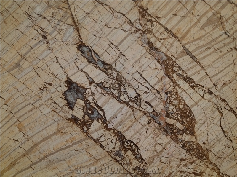 High Quality Picasso Golden Marble Slabs