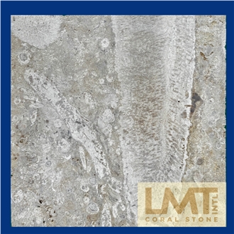 Coralina Beige Natural Coral Stone Tiles