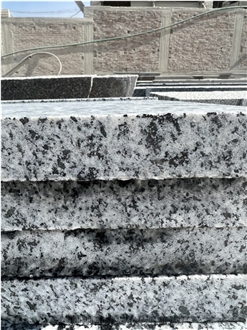 New Halayeb Granite Grey Slabs