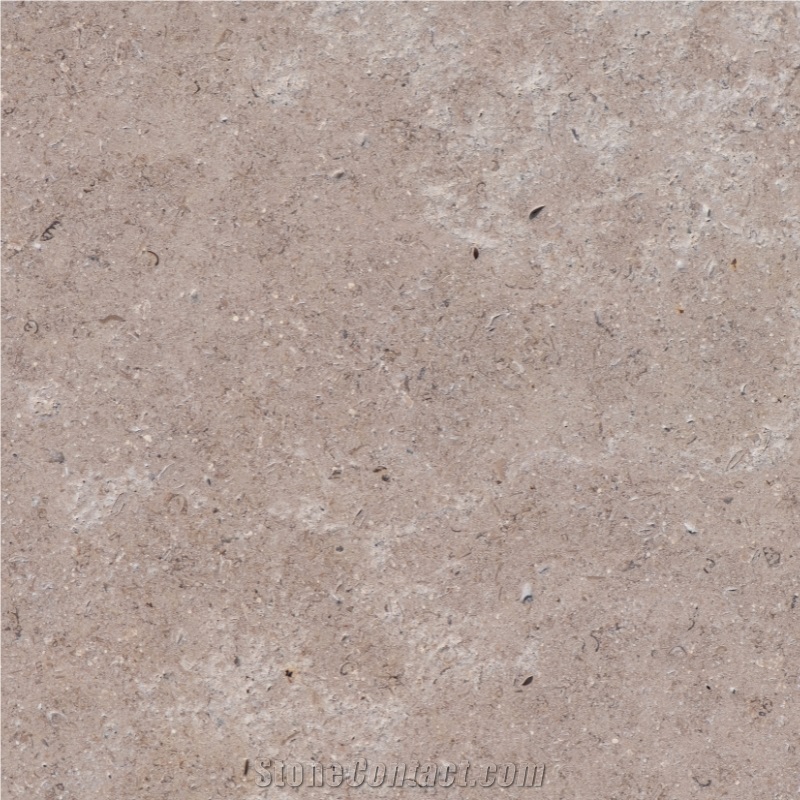 Sinai Pearl Bullnose Tiles