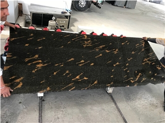 Fish Gold Granite Slabs