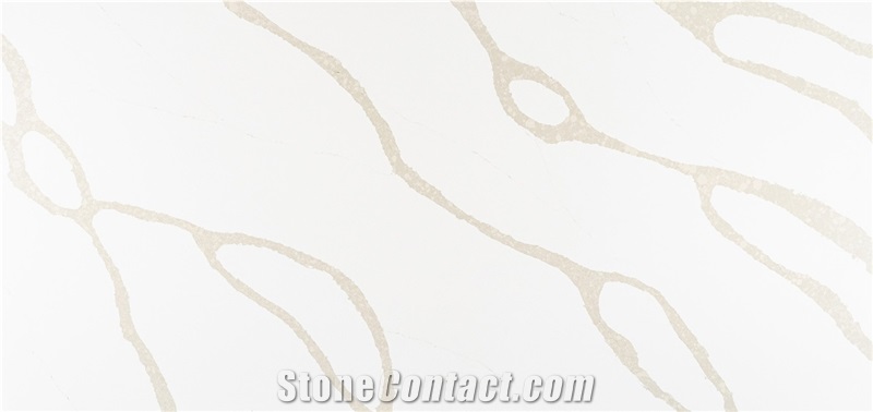 Calacatta Myra Quartz Slabs